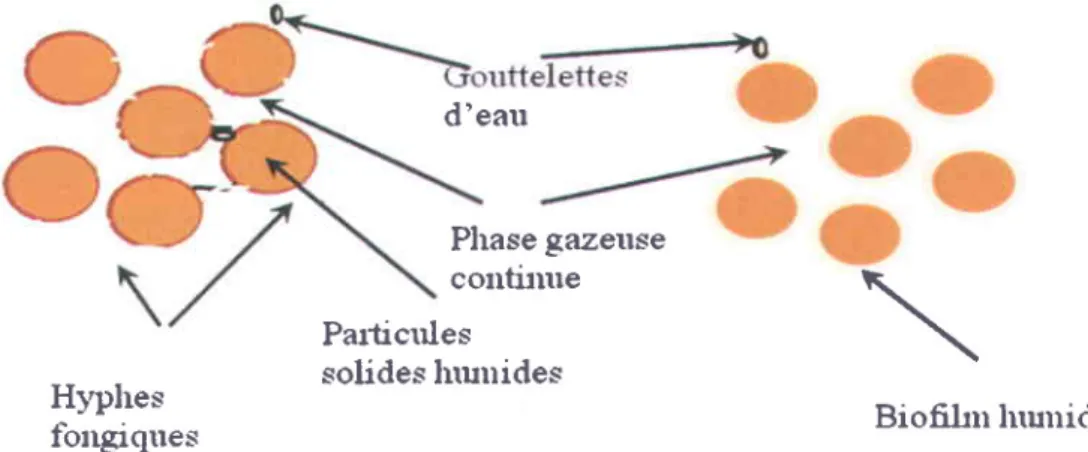 Figure  1. I  Processus de fermentation  solide