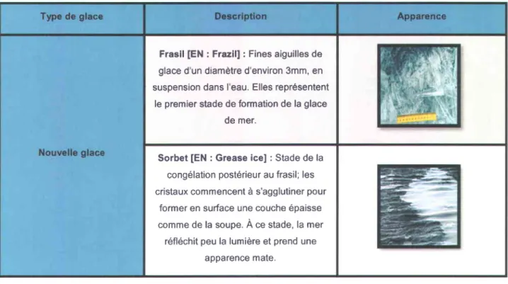 Tableau 1 : Description des types de glaces de mer pr6sents en Arctique. (SCG, 2005)