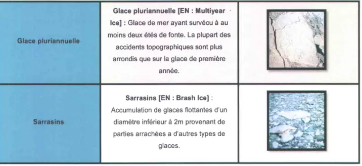 Figure 4 : Processus de formation de la glace de mer selon les conditions oc6aniques.