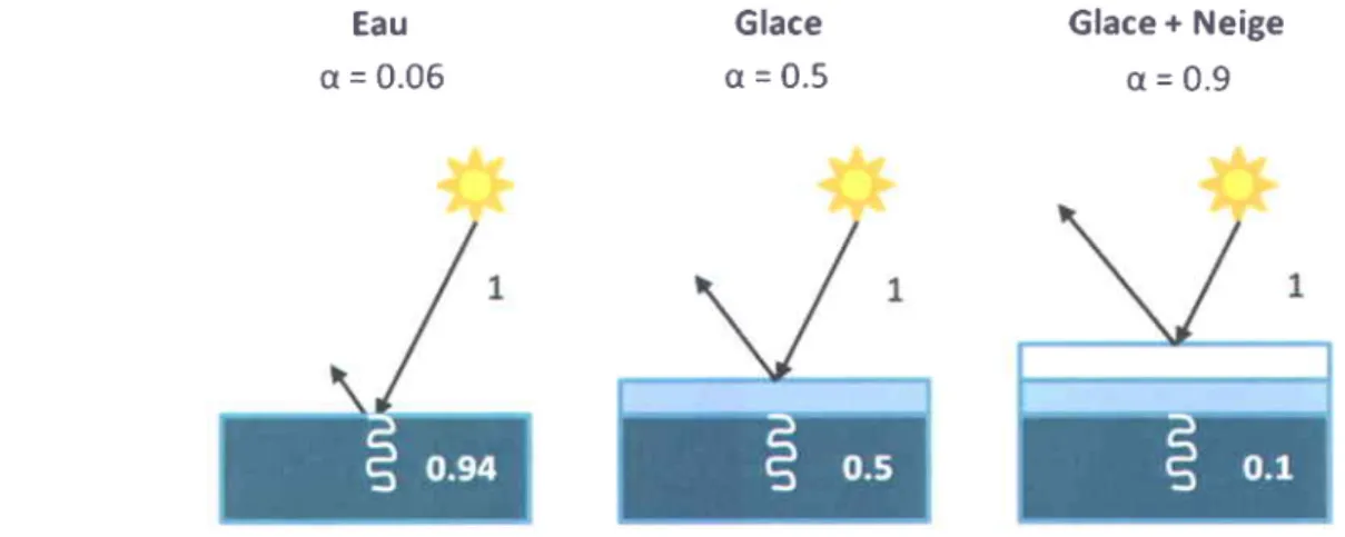 Figure 6 : Alb6do (q) des diff6rentes configurations de surface pr6sentes dans I'oc6an Arctique.