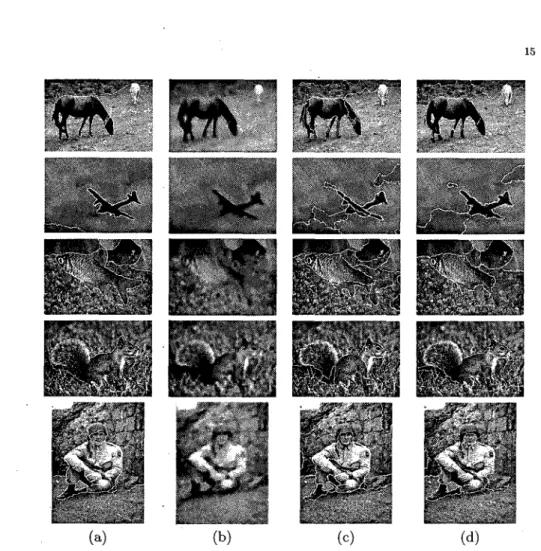 Figure 9. Examples showing the performance of our method: (a) shows the original images, (b)  shows a smoothed version of the images by using an adaptive scale, (c) shows the segmentation of  the images by using the Blobworld method and (d) shows the segme