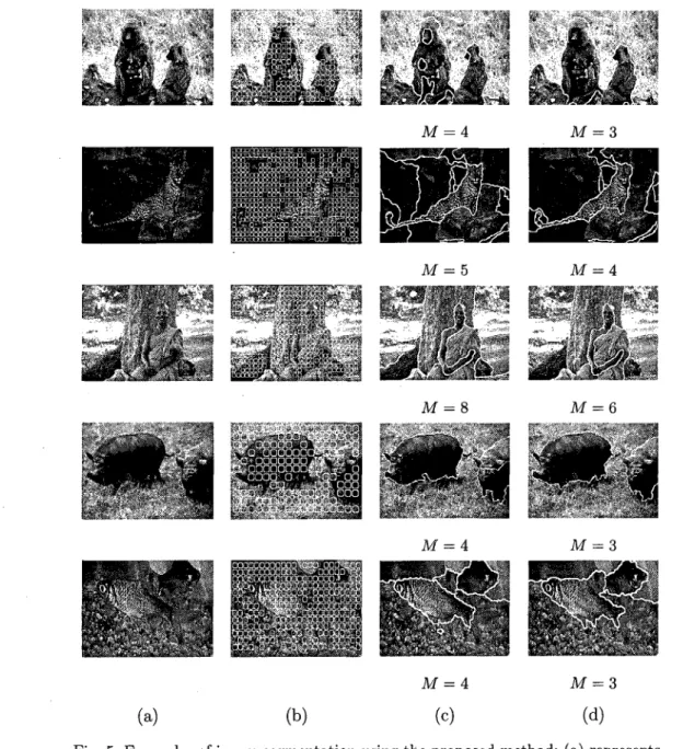 Fig. 5. Examples of image segmentation using the proposed method: (a) represents  the original image, (b)