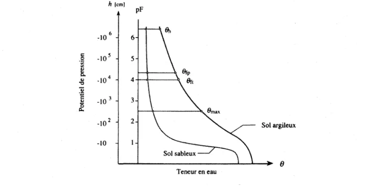 Figure 2.4 : Relation entre la teneur en  eau et le potentiel de pression selon le type de texture