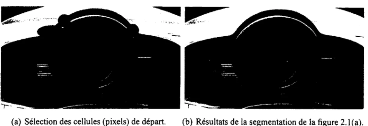 Figure 2.25 -   Images de l'initialisation et du résultat de la segmentation par  growcut