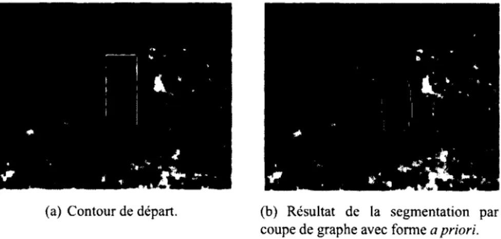 Figure 2.30 - Initialisation et résultat d'une segmentation par une coupe de graphe avec forme  a priori  (images : Malcolm et al