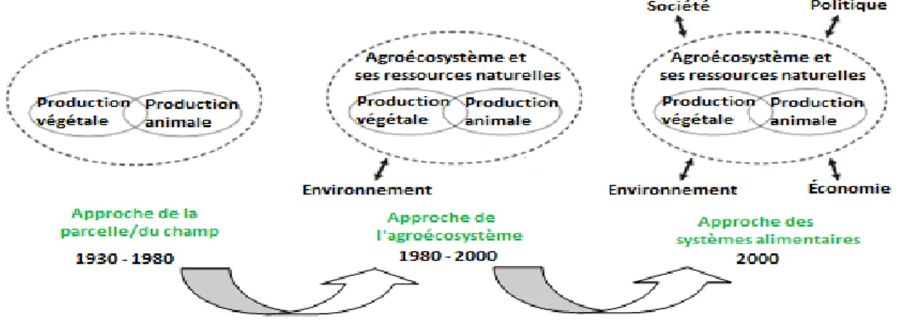 Figure 2.1  Transition et évolution des approches scientifiques de l’agroécologie depuis ses  débuts (modifié de : Wezel and Soldat, 2009) 