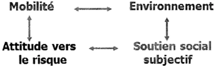 Figure 3. Modèle étiopathogénique des chutes