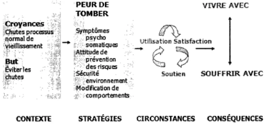 Figure 8. Processus dynamique de gestion de la peur de chuter