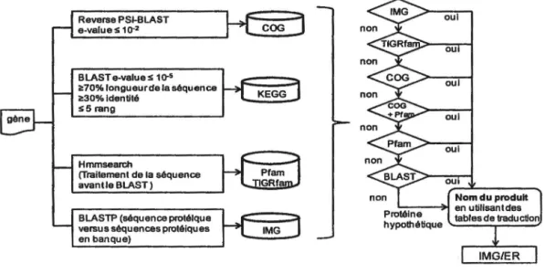 Figure 2.3 Procédure standard d'annotation des gènes par DOE..JGI MAP 