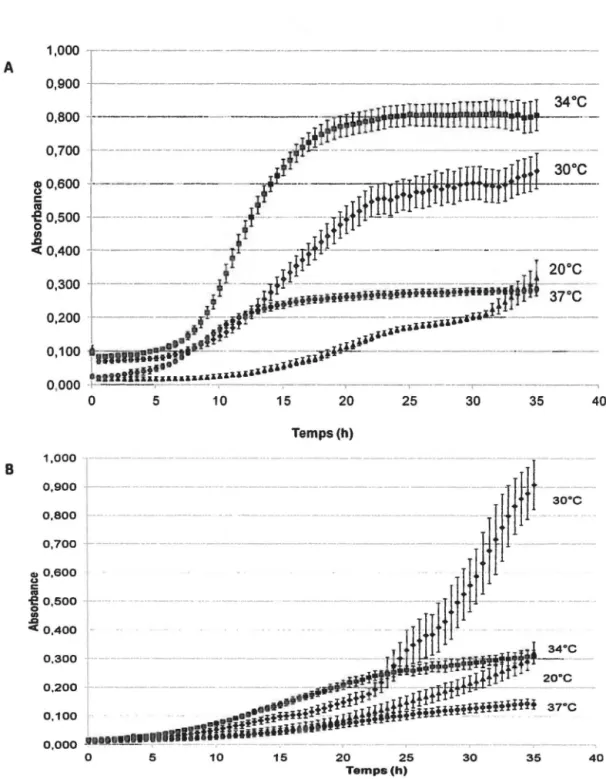 Figure 4.8 Courbes de croissance  à  différentes températures des souches JAM1  et JAM7 