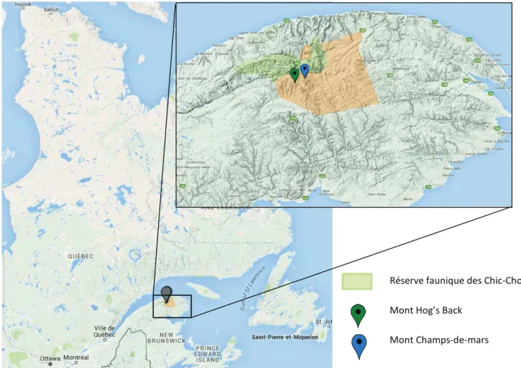 FIGURE 4. SITES D'ÉTUDES, GOOGLE MAP 