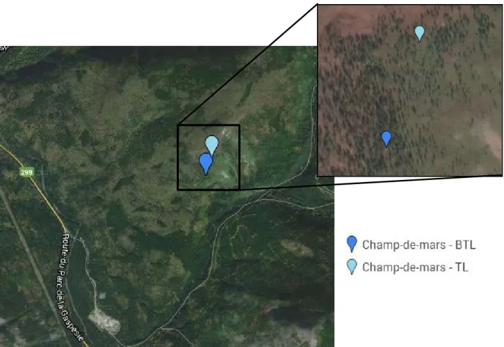 FIGURE 5. LOCALISATION DES RELEVÉS DE TERRAIN, MONT CHAMPS-DE-MARS, GOOGLE MAP 