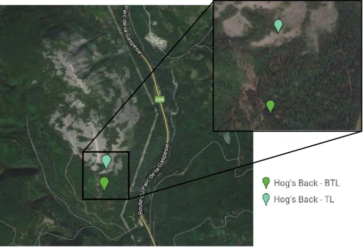 FIGURE 6. LOCALISATION DES RELEVÉS DE TERRAIN, MONT HOG'S BACK, GOOGLE MAP 