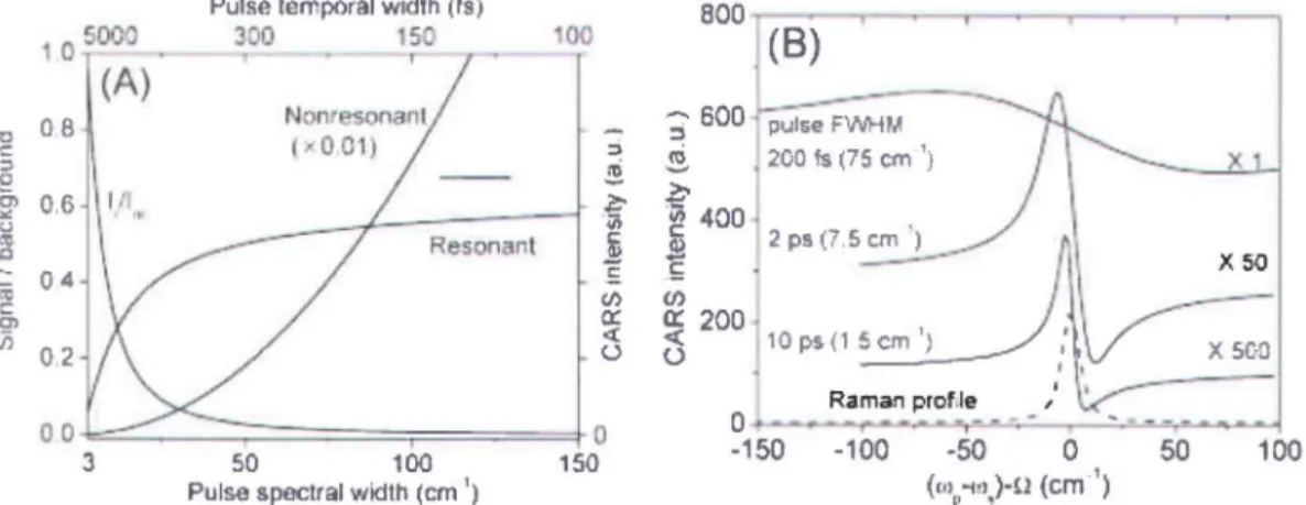 Figure 2.6 - (A)  Signal CARS résonant et non-résonant et le ratio de ces signaux en  fonction  de  la  largeur spectrale de  l'impulsion