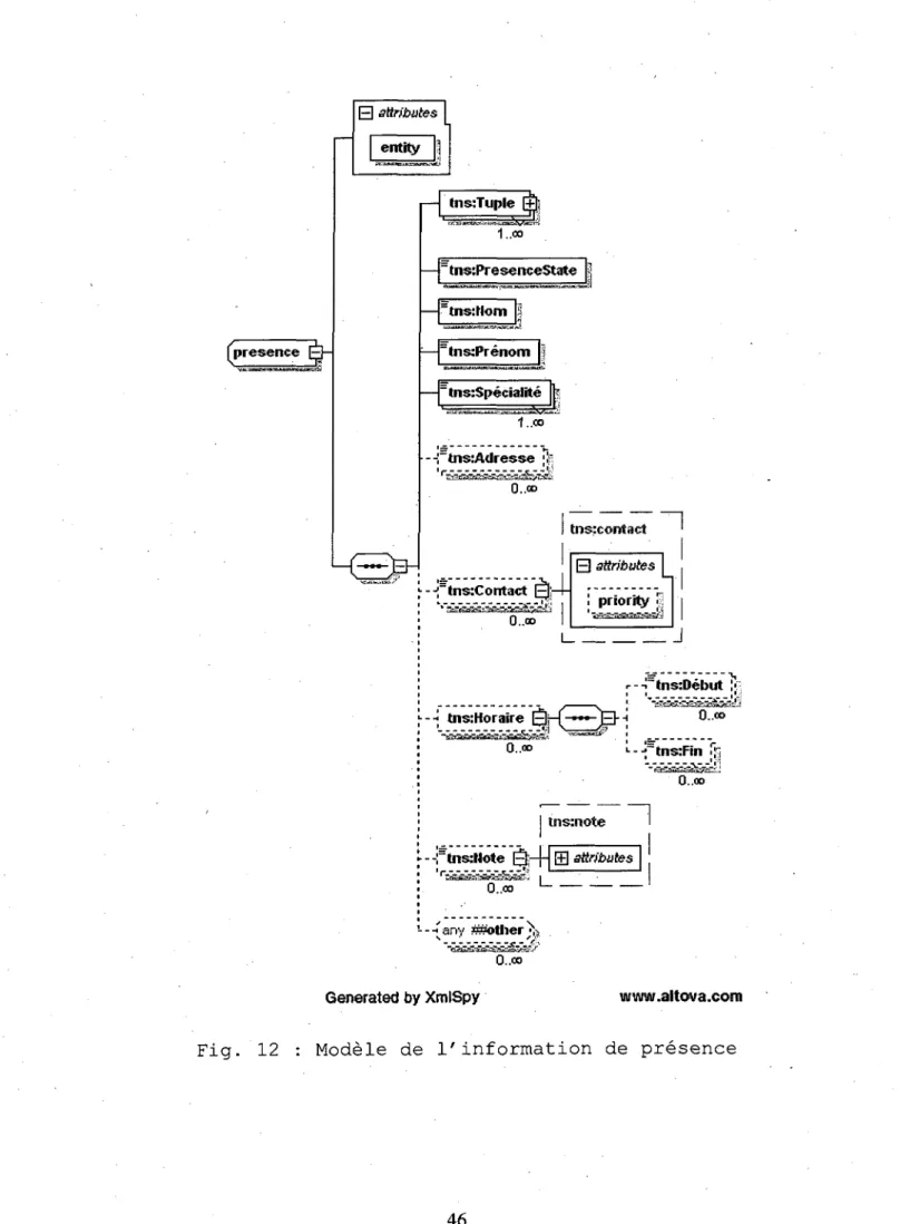 Fig. 12 : Modele de 1'information de presence 