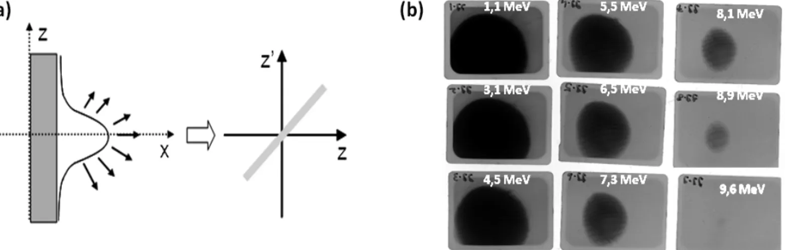 Figure 14 : Représentation schématique de l’accélération des protons à partir d’une gaine d’électrons en forme de  cloche et donnant un faisceau laminaire (a)