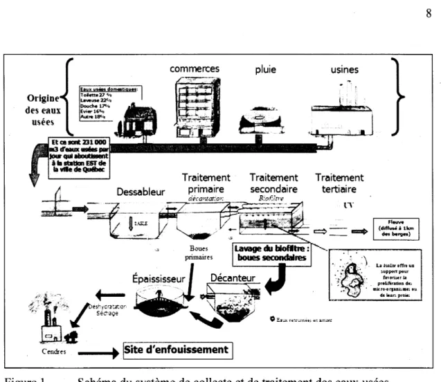 Figure 1  Schéma du système de  collecte et de traitement des eaux usées  municipales de la Ville de Québec (gracieuseté de Josée-Anne Majeau)