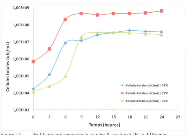 Figure 15  Profils de croissance de la souche B.  aestuarii  JP 1 à différentes 