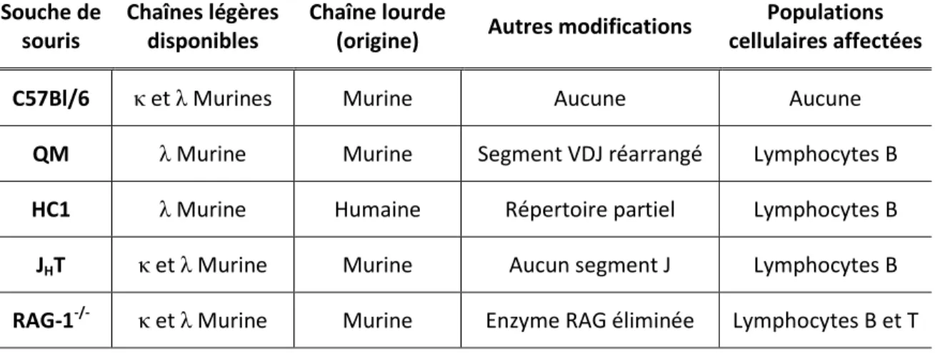 Tableau 1 : Synthèse des différences génotypiques des souches de souris utilisées  Souche de 