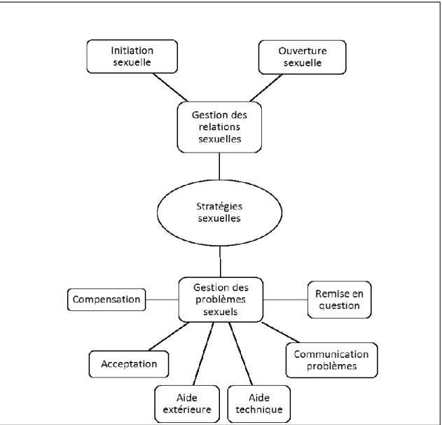 Figure 7 Schéma final des stratégies sexuelles du bien-être sexuel des ainés. 