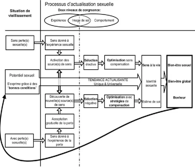 Figure 1 L'actualisation sexuelle en lien avec le sens à la vie.  