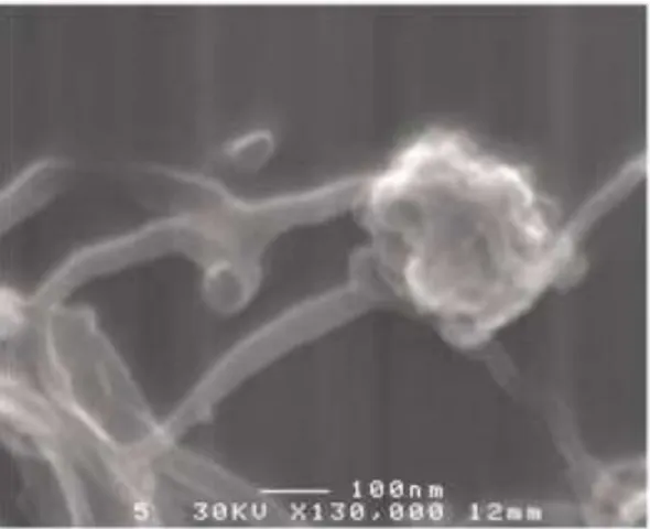 Fig. 5.2c: image par MEB de l’inter- l’inter-connexion entre les  agglomérats de  TiO 2  et 10% MWCNTs 