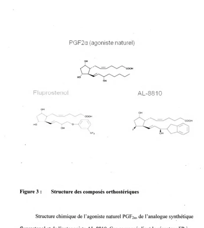 Figure 3:  Structure des composés orthostériques 