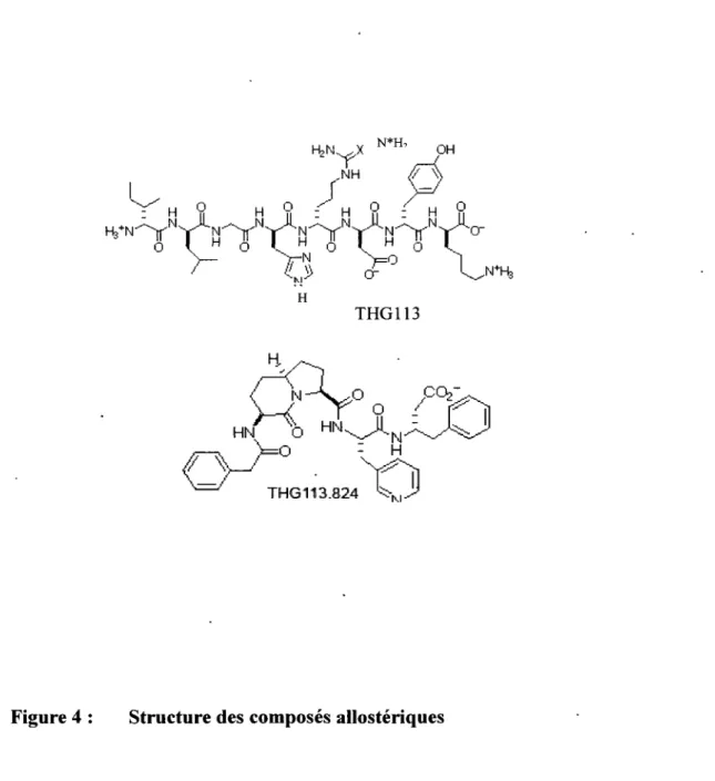 Figure 4:  Structure des composés allostériques 