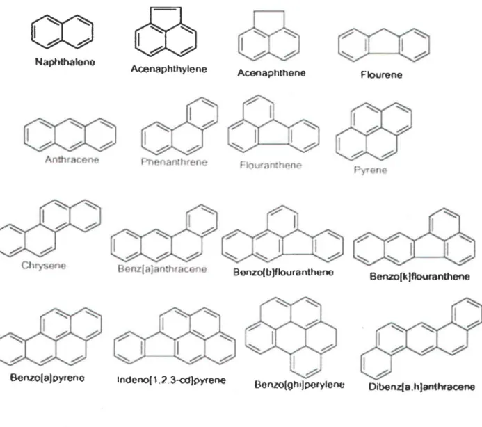 Figure  1.2 Repr6sentation  chimique  de quelques  HAP (Mouton, 2008)