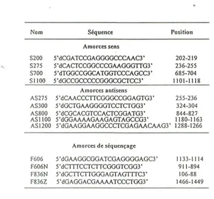 Tableau 2: Séquence et position des amorces de RT-PCR et de séquençage. 