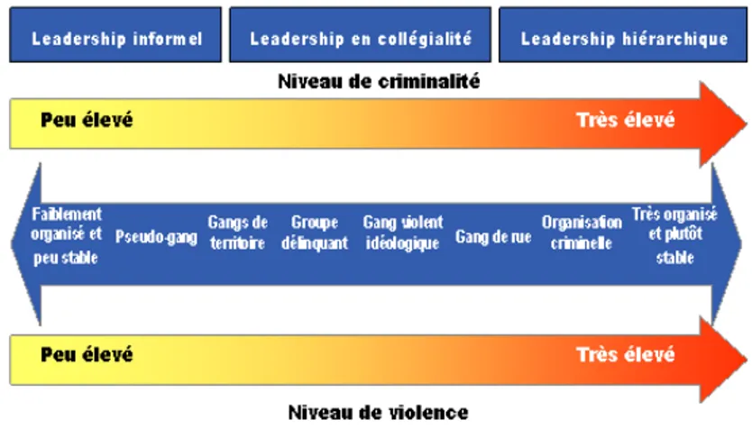 Figure 2 : Représentation d’une typologie des membres de gangs 