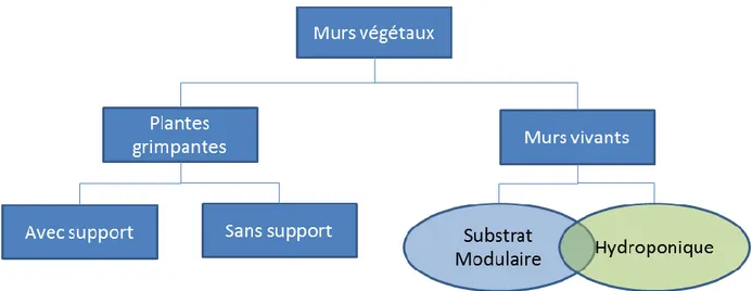 Figure  3.2  Types  de  murs  végétaux  et  leurs  sous-catégories  (inspiré  de  CEUM,  2013  et  Bernier,  2011 b) 
