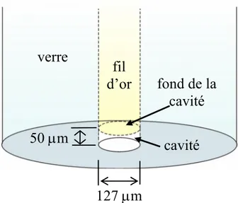 Figure 3-8.  Schéma du bout de la microélectrode à cavité. 