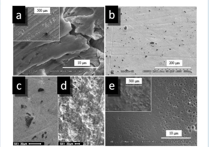 Figure 19: Cliché MEB en électron secondaire d'une surface de plomb brut sans aucun traitement (a)