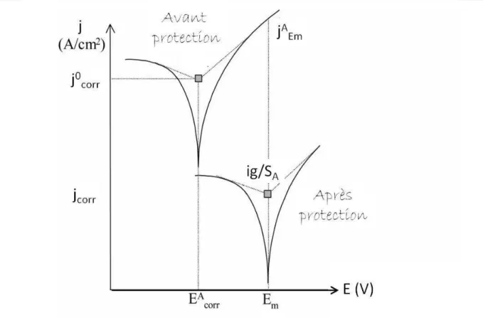 Figure 24: Représentation schématique d'une courbe de polarisation effectué sur un échantillon avant et après  protection (revêtement, inhibiteur de corrosion en solution...), adaptée de [129]