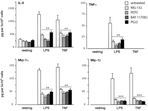 Figure 3.1.3  Effet des inhibiteurs du NF-KB sur la sécrétion de cytokines et  chimiokines inflammatoires chez les neutrophiles humains