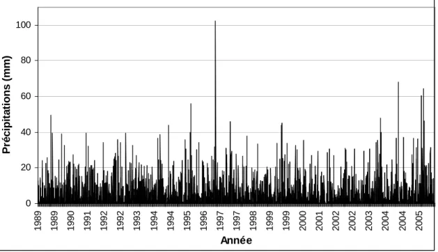 Figure D.2 :  Série chronologique des précipitations journalières (mm), 1989 à 2006. 