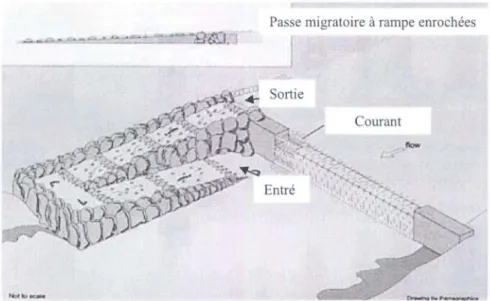 Figure 3.5.  Schéma  d'une passe  migratoire à rampe  enrochée  (Department of Industry  &amp; 