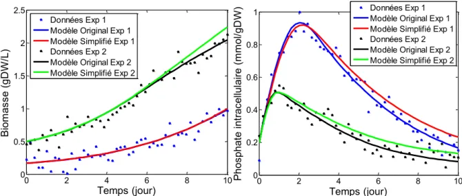 Figure 6.10 : Impact de la simplification par l’AICm sur l’estimation de la biomasse et du phosphate  intracellulaire  