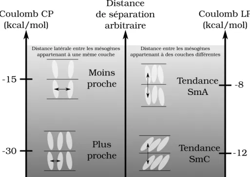 Figure 1 Schéma décrivant la relation entre les composantes de l’énergie de Coulomb (CP = courte portée, LP = longue portée) et les distances entre les mésogènes.