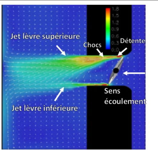 Figure 2.16 Iso-contours de Mach et vecteurs vitesses dans le plan de symétrie de la vanne [27]