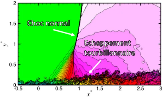 Figure 2.20 Densité instantanée dans le plan x − y avec 32 niveaux de contours 0.77 &lt; ρ/ρ ∞ &lt; 1.53 [74]