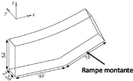 Figure 2.22 Domaine d’étude de la simulation DNS de Wu et Martin [114]