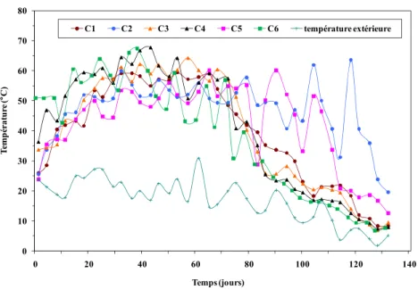 Figure 28  Évolution temporelle de la température interne et externe des composts lors  des essais de compostage à petite échelle 