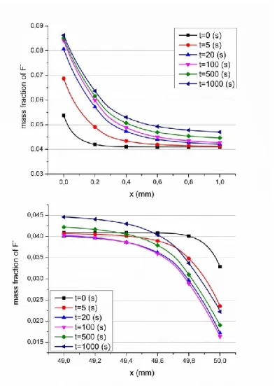 Figure 3.1: Mass fraction profile of F -  near the cathode (above) and the anode (below) for  the first 1000 s