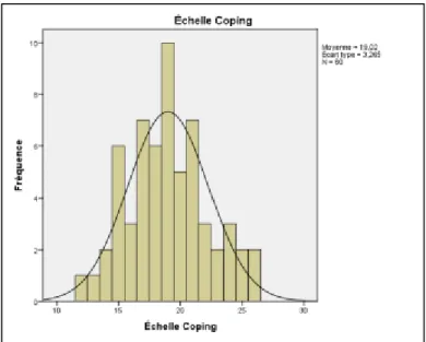 Figure 22 : Échelle coping pour le groupe témoin 