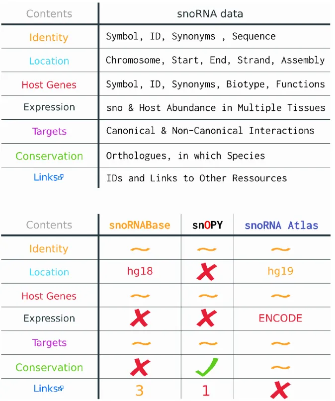 Figure 5: Pertinent Information in a snoRNA Database 