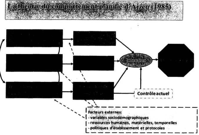 Figure  1   Théorie du comportement planifié (TCP) d’Ajzen (1985).