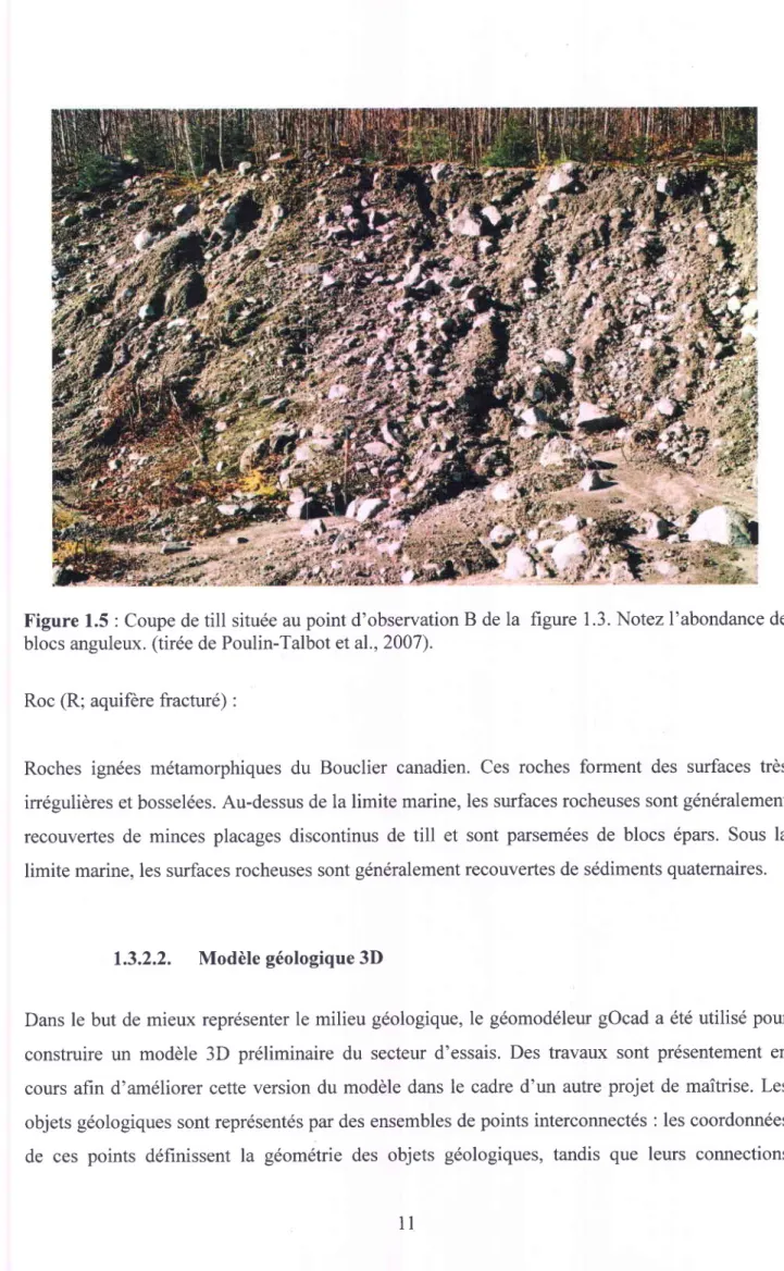 Figure 1.5 : Coupe de till  située au point d'observation  B de la  figure 1.3. Notez I'abondance  de blocs anguleux