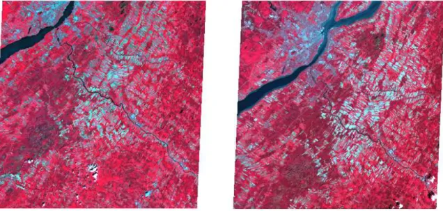 Figure 13 :  Images ASTER couvrant le bassin versant du Bras d’Henri acquises le 23 juin 2000   (à gauche) et le 03 juin 2005 (à droite)